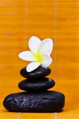 Obraz na płótnie Canvas frangipani and black stones