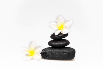 frangipani and black stones