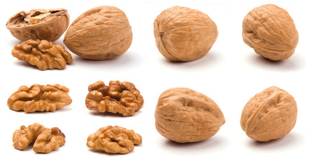 Various Walnuts