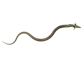 dinosaur anaconda walking arround up hi view