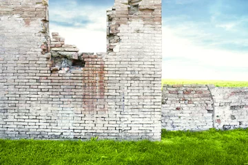 Foto op Canvas Ruined Brick Wall © vali_111