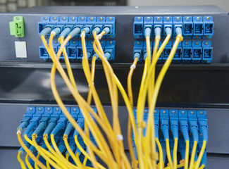 network hub and patch cables