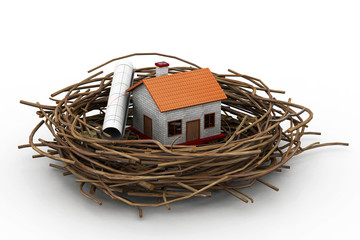 Business chart an house on nest
