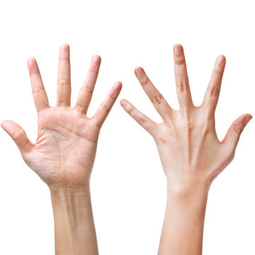 Female hands counting number five