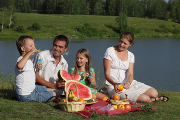 familie picnic outdoors with food