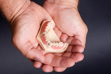 dental wax model