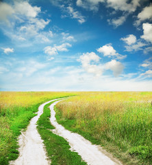 country road in the fields