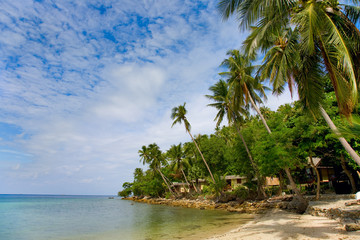 Fototapeta na wymiar sea and beach with coconut palm and houses