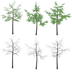 print vector tree leaves trunk vector silhouette pack