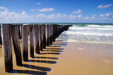 Sea waves rolling on the beach