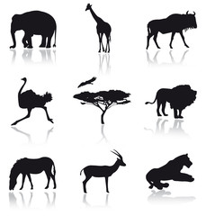 African animals set - obrazy, fototapety, plakaty