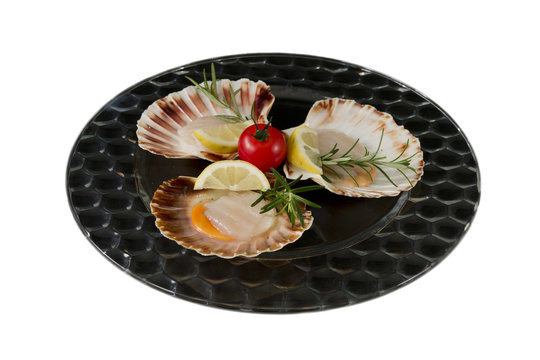 Fresh scallops, served on dark glass plate, isolated on white