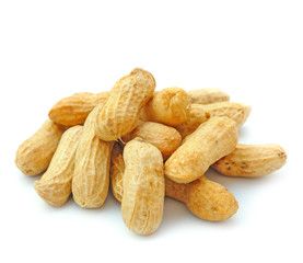 Peanut isolated on white background