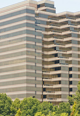 Brown and Black Striped Office Tower Rising out of Trees