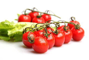 cherry tomatoes with salad