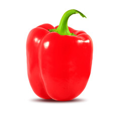 Paprika