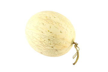 Cantaloupe melon oval right head on white background.