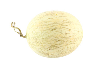 Cantaloupe melon oval left head on white background...