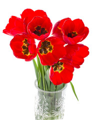 red tulips bouquet in vase