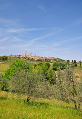 Fototapeta na wymiar Widok na słynny San Gimignano w Toskanii