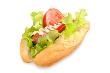 Tasty and delicious hotdog