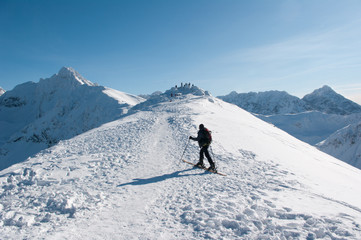 Fototapeta na wymiar Wysokie góry z śniegu i wędrowcem.
