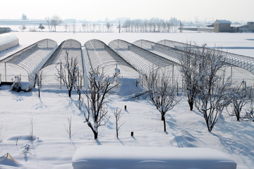 Obraz premium campagna innevata