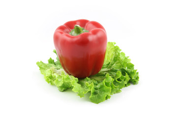 Bell pepper