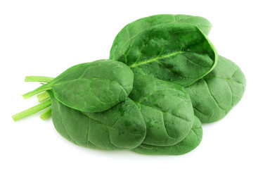 Obraz premium Spinach