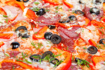 colorful tasty pizza