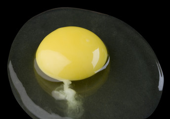 broken egg isolated on black