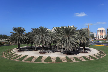 Palm Trees at a roundabout in Dubai, UAE