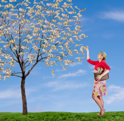 a woman reaching up picking money off a tree