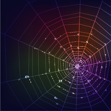 Dark spider web background
