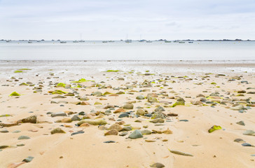 sand seacoast of English Channel in Brittany