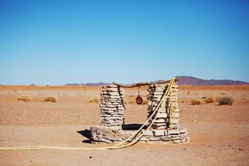 Photo sur Plexiglas Sécheresse Spring in desert