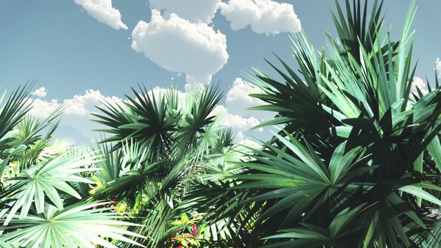 Tropical vegetation against blue sky