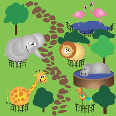 animals in zoo