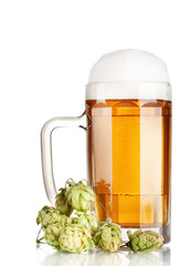 beer mug and green hop isolated on white