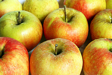 Background of apples