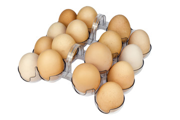 Chicken eggs in a plastic container on a white background.