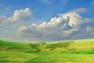 Beautiful Blue Sky With Green Grass Field