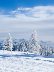 Winter in alps