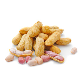 Peanut isolated on white background