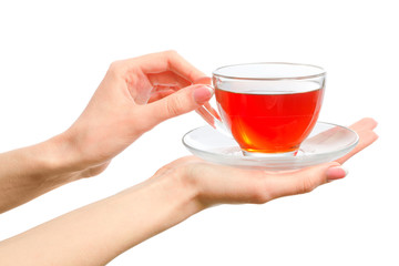holding a cup of warm tea in hands