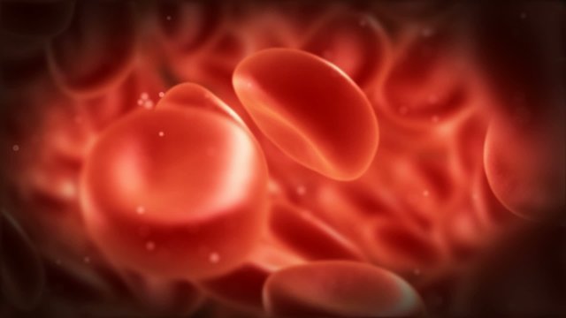 streaming blood cells in vein