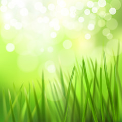 Obraz premium Meadow. Vector illustration.