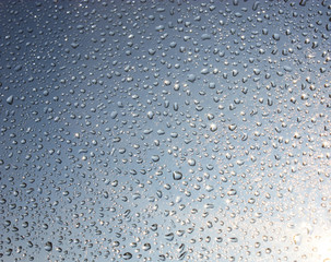 Drops on glass