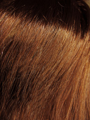 dark brown hair texture background