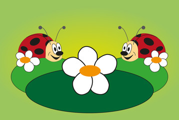 Obraz na płótnie Canvas Funny picture of two ladybug